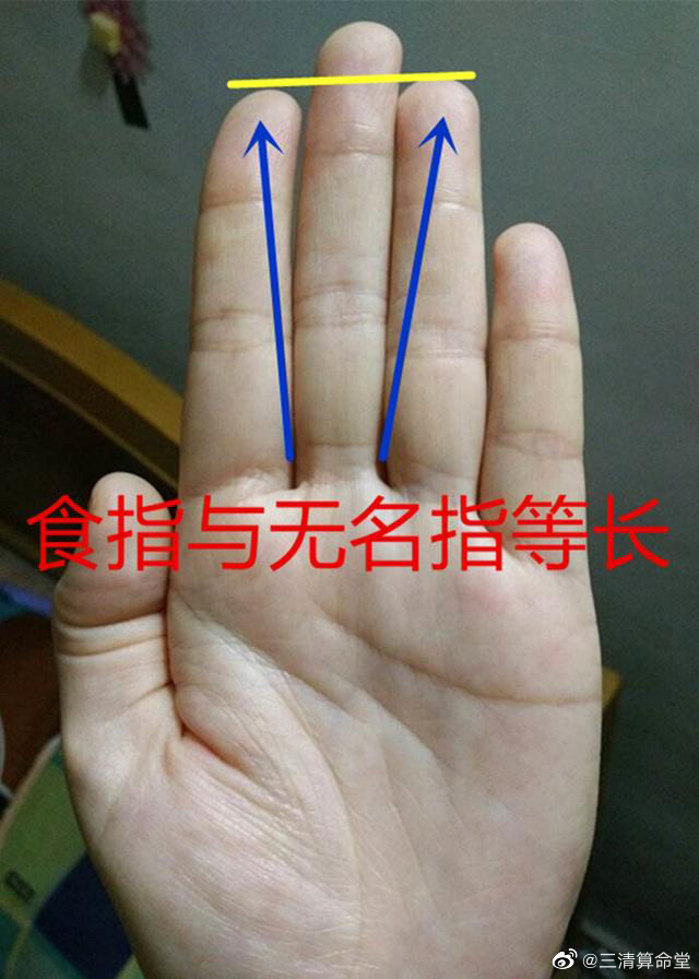 无名指和食指一样长的命运如何