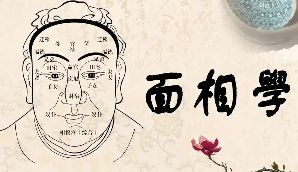 脸上有一纹可看寿命长短